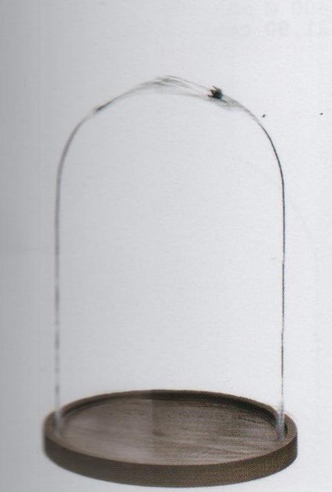 Campana in vetro H 30 dm.18,5 con e senza basi - Sconti per Fioristi e Aziende