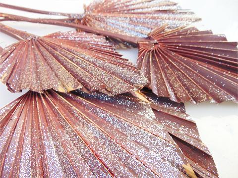 Palm Spear H 55 Naturale - Sconti per Fioristi e Aziende - Confezione da 10 foglie