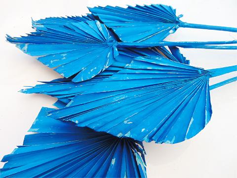 Palm Spear H 55 Naturale - Sconti per Fioristi e Aziende - Confezione da 10 foglie