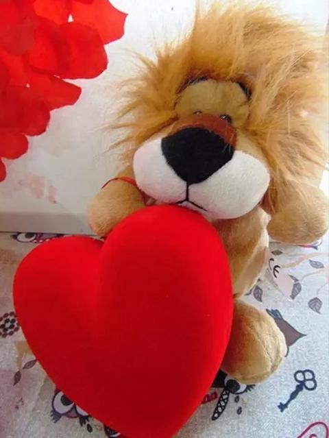 Leoncino H 20 e H 40 con cuore vellutato Articolo per S. Valentino - Sconti per Fioristi e Aziende