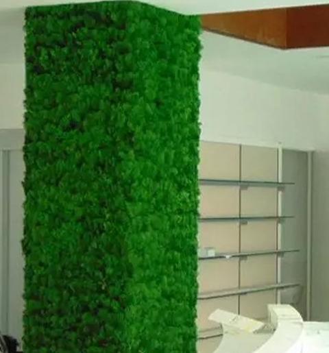 Parete Moss Stabilizzata Wall Moss  - Sconti per Fioristi e Aziende - a metro quadrato