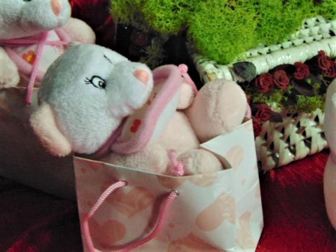 Orsetto rosa H 10 con sacchetto - Sconti per Fioristi e Aziende