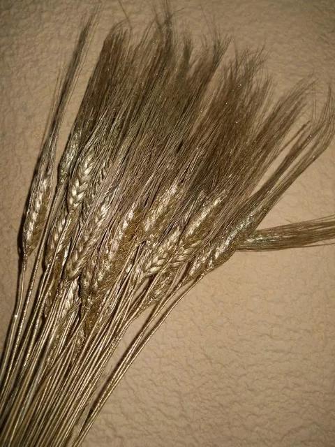 Spighe di Grano Colorate  x 50 glitterate - Sconti per Fioristi e Aziende