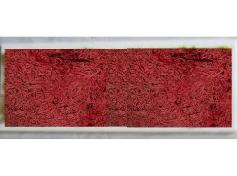 Quadro Moss cm. 20 x 60 - Sconti per Fioristi e Aziende . - Head e Flat work