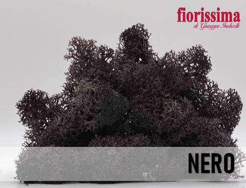 Muschio Nordico Naturale gr. 500 Island Moss - Sconti per Fioristi e Aziende