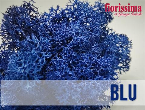Muschio Nordico Naturale gr. 500 Preservato - Sconti per Fioristi e Aziende Fiorissima Lichene preservato