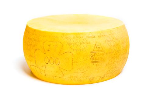 Grana padano artificiale  - Sconti per Fioristi e Aziende . -  in plastica