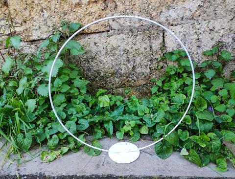 Cerchio dm.40 su piedistallo  - Sconti per Fioristi e Aziende . - Bianco e Oro