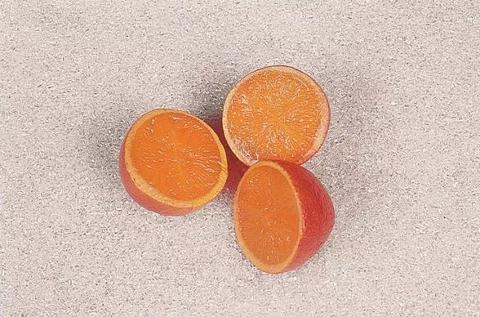 Mezza arancia artificiale in plastica dm. 6.5 cm H 6 Sconti per Fioristi, Wedding e Aziende