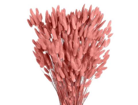 Colorante Elevata adesività per fiori e fronde per immersione in tanica Lt.2.5 - Sconti per Fioristi e Aziende