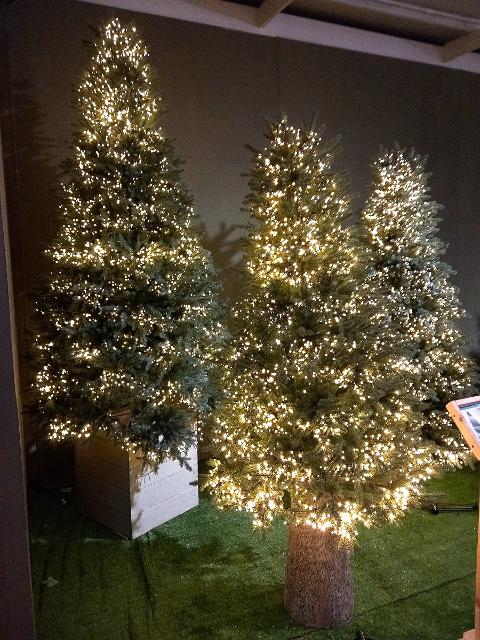 Albero Luxury abete c/ Led -  Sconti per Fioristi e Aziende - H 180/210/240 in PE+PVC