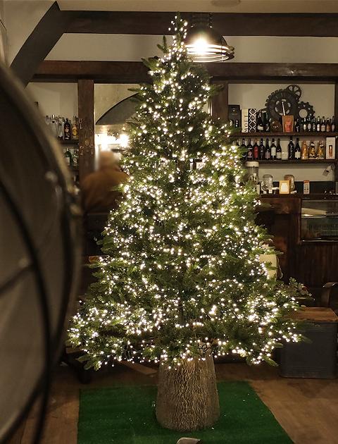 Albero Luxury abete c/ Led -  Sconti per Fioristi e Aziende - H 180/210/240 in PE+PVC