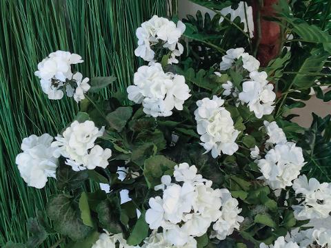 Geranio Cadente H 56 Lux - Sconti per Fioristi e Aziende Fiorissima in poliester vellutato