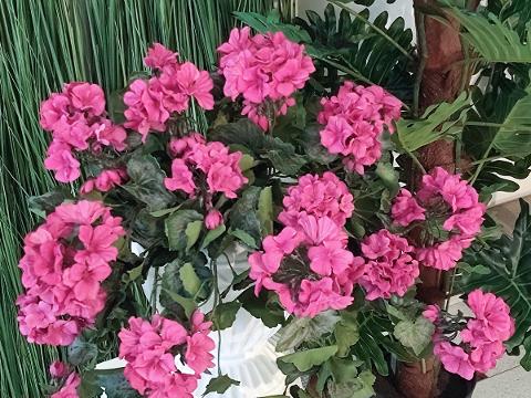 Geranio Cadente H 56 Lux - Sconti per Fioristi e Aziende Fiorissima in poliester vellutato