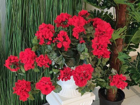 Geranio Cadente H 56 Lux - Sconti per Fioristi e Aziende Fiorissima in poliester vellutato