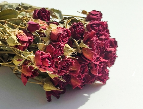 Rose x 20 Dry H 60 dm. 2.5 cm - Sconto per Fioristi e Aziende .