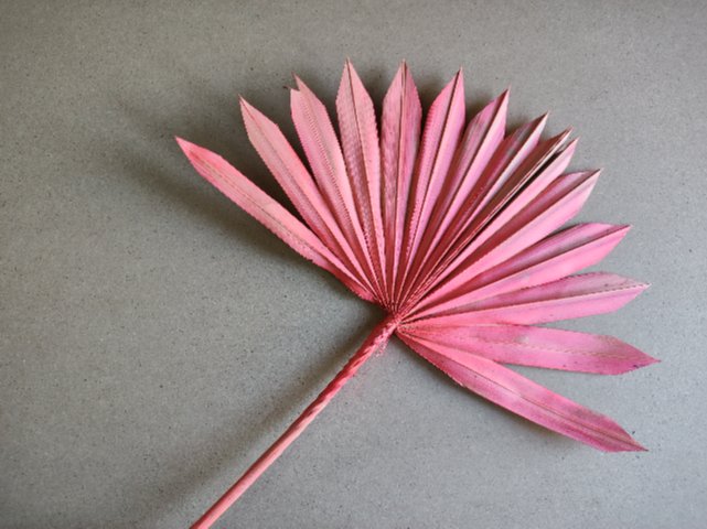 Palm Sun H 65 Colorata - Sconti per Fioristi e Aziende - Confezione da 7 foglie