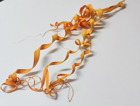 Ricciolo di canna x 5 - Sconti per Fioristi e Aziende  -H 60 Diversi colori