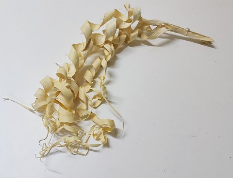 Ricciolo di canna x 5 - Sconti per Fioristi e Aziende  -H 60 Diversi colori