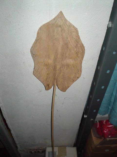 Palm on stem x 5 Naturale - Sconti per Fioristi e Aziende