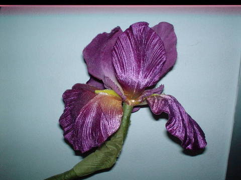 Iris Artificiale Singolo H 100- Sconti per Fioristi e Aziende . - in velluto