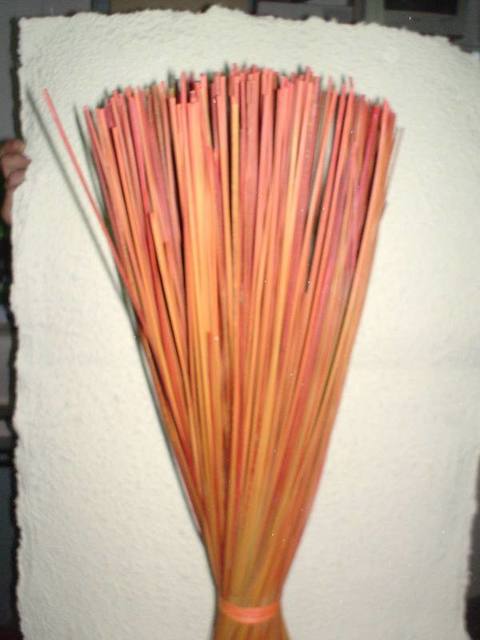 Equisetum Stem H 80  - Sconti per Fioristi e Aziende - Mazzo Kg. 1 Stabilizzato