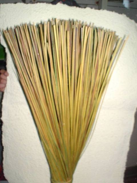 Equisetum Stem H 80  - Sconti per Fioristi e Aziende - Mazzo Kg. 1 Stabilizzato