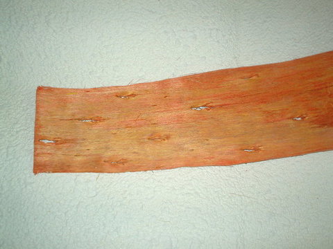 Papaia net naturale colorata disidratata gr. 500 - Sconti per Fioristi e Aziende