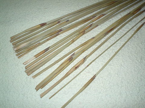 Equisetum Red Bundle  - Sconti per Fioristi e Aziende . - Mazzo gr. 200 stabilizzato