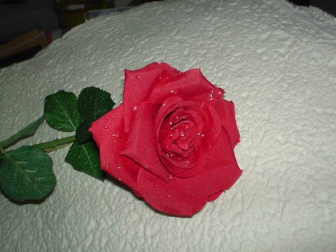 Rosa aperta con rugiada  Artificiale in poliestere - Sconti per Fioristi e Aziende .