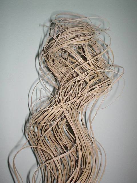 Palm Ting Ting H 80 Mazzo 100 pezzi - Sconti per Fioristi e Aziende