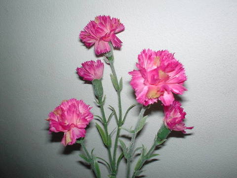 Garofanino Artificiale x 5  in poliester - Sconti per Fioristi e Aziende .