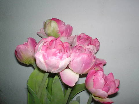 Tulipani x 6 legati Artificiale in poliestere - Sconti per Fioristi e Aziende