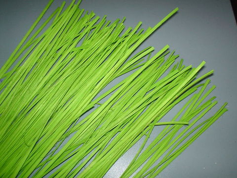 Midollino piatto steso H 100 diversi colori - Sconti per Fioristi e Aziende