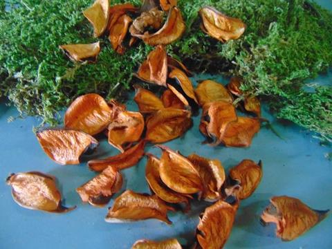 Pot-pourry  Conf. da gr. 300  - Sconti per Fioristi e Aziende