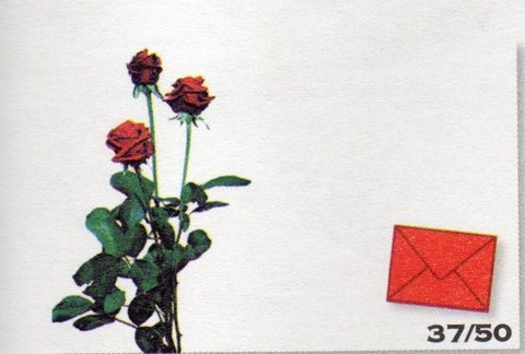 Bigliettini Rose per San Valentino cm.9,5 x 6,3 - Sconti per Fioristi e Aziende