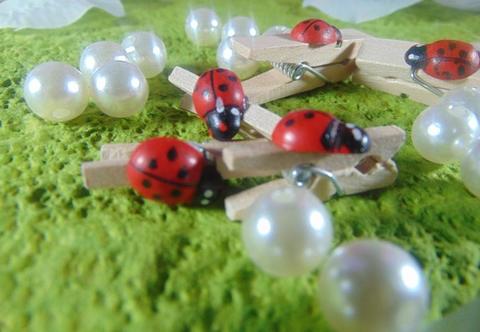 Mollette in legno con coccinella mm. 25 e mm. 35 - Sconti per Fioristi e Aziende