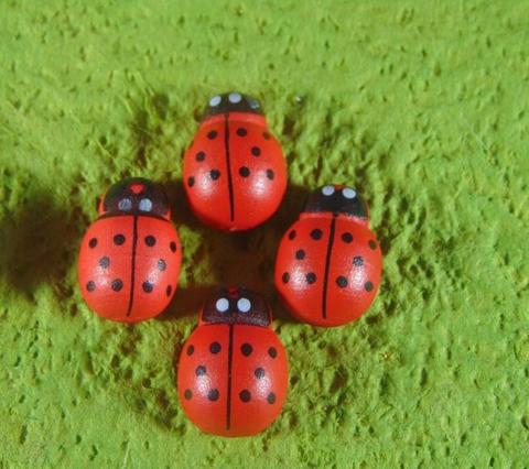 Coccinelle in legno colori diversi con biadesivo mm.13 - mm.18 - mm. 25 - Sconti per Fioristi e Aziende