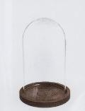 Campana in vetro H 22 dm. 12 con e senza base - Sconti per Fioristi e Aziende