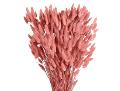 Colorante standard per fiori e fronde per immersione in Tanica da lt. 2,5 - Adatto per Fioristi e Garden