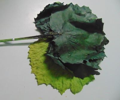 Foglie di Pioppo Preservate - Sconti per Fioristi e Aziende - Busta da 8 foglie
