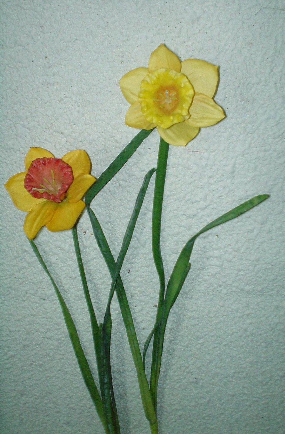 Narciso Lusso H 50  - Sconti per Fioristi e Aziende . - in gomma