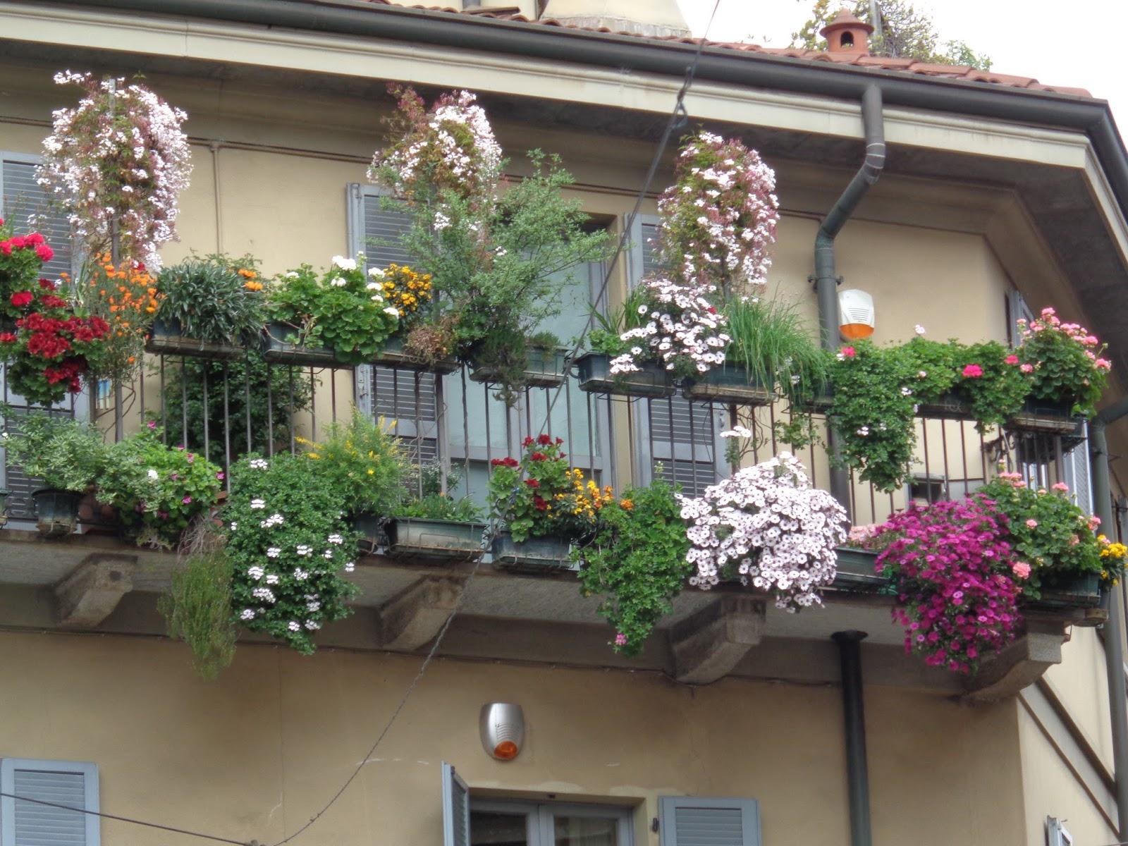 Balconiera  cm.40/50/60 - Sconti per Fioristi e Aziende - in ferro