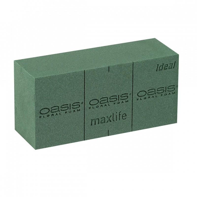 Spugna Oasis x 35 Premium - Sconti per Fioristi e Aziende Oasis - NUOVO STOCK A SETTEMBRE
