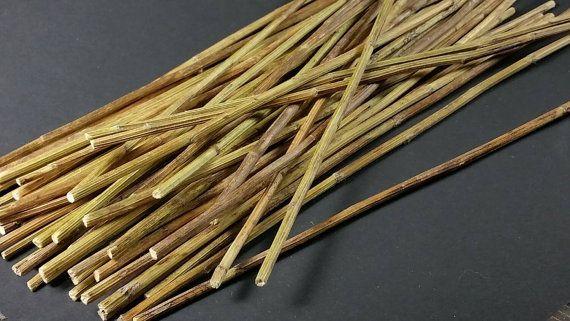 Fascina Achillea profumata - Sconti per Fioristi e Aziende - Lungo cm. 40