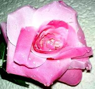 Rosa aperta con rugiada  Artificiale in poliestere - Sconti per Fioristi e Aziende .