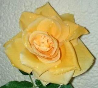 Rosa aperta con rugiada  Artificiale in poliestere - Sconti per Fioristi e Aziende .