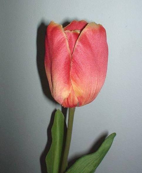 Tulipano Olandese H 47  Artificiale in poliestere - Sconti per Fioristi e Aziende .