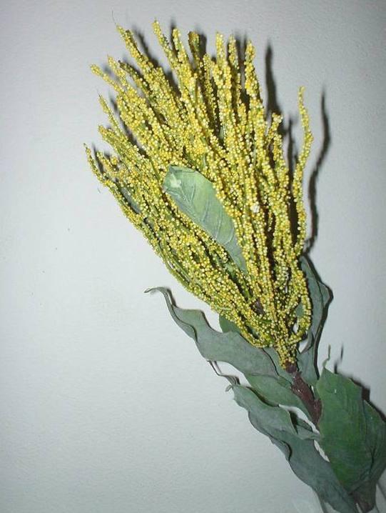 Serpentine Wild  in poliestere - Sconti per Fioristi e Aziende - Artificiale