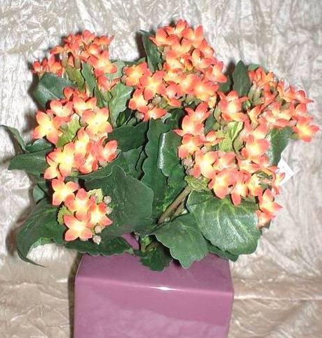 Calanchoe bush x 5 in poliester - Sconti per Fioristi e Aziende - Vari colori